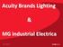 Acuity Brands Lighting. MG industrial Electrica. 2011 Acuity Brands