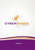 Cybersudoe Innov: Una red de expertos sobre TIC e Innovación del SUDOESTE europeo