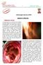 PERIODO FETAL. Embriología Humana (FCBP) MATERIAL DE LECTURA Nº 05