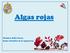 Algas rojas. Nombre: Sofía Uarac Ramo: Desafíos de la Ingeniería