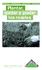 BRICOLAJE - CONSTRUCCIÓN - DECORACIÓN - JARDINERÍA. Plantar, cuidar y podar los rosales