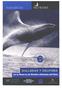 DELFINES DE VARIOS TIPOS como las toninas y grandes ballenas jorobadas, azules y francas,
