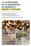 La conflictividad de las plantaciones de eucalipto en España (y Portugal)