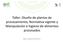 Taller: Diseño de plantas de procesamiento, Normativa vigente y Manipulación e higiene de alimentos procesados. Ing. Viviana Arias A.