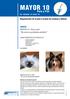 MAYOR 10. Pelo y Piel. Regenerador de la piel y el pelo de caninos y felinos INDICE: Zinc - Metionina - Ac. Grasos - Vit.