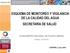 ESQUEMA DE MONITOREO Y VIGILANCIA DE LA CALIDAD DEL AGUA SECRETARÍA DE SALUD. VI ENCUENTRO NACIONAL DE PLAYAS LIMPIAS Ixtapa, Guerrero