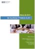 IM AURIGA PYMES EUR 1