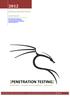 [PENETRATION TESTING]