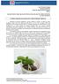 El cultivo de girasol y la presencia de la chinche diminuta Nysius sp.