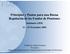 Principios y Pautas para una Buena Regulación de los Fondos de Pensiones Seminario AIOS 11 12 Noviembre 2003
