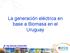 La generación eléctrica en base a Biomasa en el Uruguay. Dr. Ing. Gonzalo Casaravilla Presidente de UTE (Uruguay)
