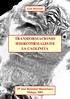 Tesis Doctoral TRANSFORMACIONES HIDROTERMALES DE LA CAOLINITA