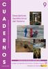9 U A D E R N O S. para la ordenación del ejercicio profesional. Comisión de Consultoría y Ejercicio Libre