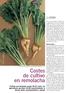 Costes de cultivo en remolacha