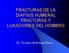 FRACTURAS DE LA DIAFISIS HUMERAL FRACTURAS Y LUXACIONES DEL HOMBRO. Dr. Teodoro Robinson Flores