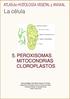 ATLAS de HISTOLOGÍA VEGETAL y ANIMAL 5. PEROXISOMAS MITOCONDRIAS CLOROPLASTOS. Manuel Megías, Pilar Molist, Manuel A. Pombal