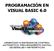 PROGRAMACIÓN EN VISUAL BASIC 6.0