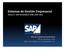 Sistemas de Gestión Empresarial Tema 4. SAP BUSINESS ONE (SAP BO)