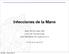 Infecciones de la Mano