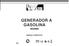 GENERADOR A GASOLINA BG3000