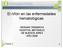El riñón en las enfermedades hematológicas HERNAN TRIMARCHI HOSPITAL BRITÁNICO DE BUENOS AIRES AÑO 2008