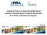 El papel de FIRA en el desarrollo del Mercado de Asesoría y Consultoría para la creación de proyectos de inversión y soluciones de negocios