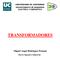 UNIVERSIDAD DE CANTABRIA DEPARTAMENTO DE INGENIERÍA ELÉCTRICA Y ENERGÉTICA TRANSFORMADORES. Miguel Angel Rodríguez Pozueta