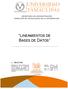 LINEAMIENTOS DE BASES DE DATOS