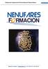 Nenúfares Formación info@nenufares.es Tlf: 91.842.79.71 / 617.94.96.15