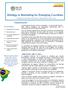 Strategy & Marketing for Emerging Countries