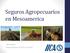 Seguros Agropecuarios en Mesoamerica. David Hatch Representante del IICA a los EEUU
