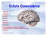 Crisis Convulsiva. www.reeme.arizona.edu