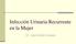 Infección Urinaria Recurrente en la Mujer. Dr. José Ardón Acosta