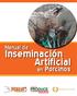Manual de. Inseminación Artificial. en Porcinos