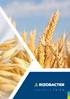 Protección integral Terápicos de semilla Protección fungicida Nutrición Control de plagas en granos almacenados