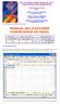 MANUAL APLICACIONES FINANCIERAS DE EXCEL