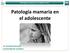 Patología mamaria en el adolescente Dr. Fernando Hernanz Universidad de Cantabria