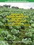 2 Manual de Buenas Prácticas Agrícolas en el Cultivo de Repollo