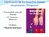 Clasificación de los Desechos Sólidos Hospitalarios / Peligrosos