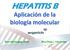 HEPATITIS B. Aplicación de la biología molecular