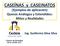 CASEÍNAS y CASEINATOS (Ejemplos de aplicación) Quesos Análogos y Extendidos: Mitos y Realidades. Ing. Guillermo Silva Silva