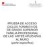 PRUEBA DE ACCESO CICLOS FORMATIVOS DE GRADO SUPERIOR FAMILIA PROFESIONAL DE LAS ARTES APLICADAS AL MURO (parte específica)