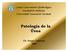 Centro Universitario Oftalmológico Facultad de Medicina Universidad Nacional de Tucumán. Patología de la Úvea. Dr. Sergio Dilascio 2005