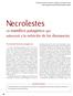 Necrolestes Un mamífero patagónico que sobrevivió a la extinción de los dinosaurios