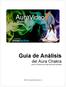 Guía de Análisis del Aura Chakra para los Sistemas de Vídeo del Aura Inneractive. 2011 Inneractive Enterprises, Inc.