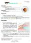 Anatomía del Ojo - 2ª parte