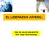 EL LIDERAZGO JUVENIL: RED DE SALUD SAN MARTÍN Psic. Jorge Tanta Huaranga
