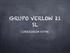 GRUPO VERLOW 21 SL CURRICULUM VITAE