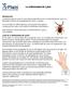 La enfermedad de Lyme