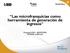 Las microfranquicias como herramienta de generación de ingresos. Proyecto VMG BID/FOMIN ATN/ME-13436-GU